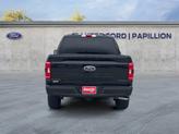 Thumbnail of 2021 Agate Black Metallic Ford F-150