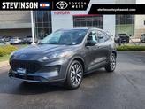 Photo of 2020 Magnetic Ford Escape
