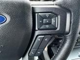 Thumbnail of 2016 Brown Ford F-150