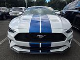 Thumbnail of 2022 Oxford White Ford Mustang