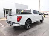 Thumbnail of 2024 Avalanche Gray Ford F-150
