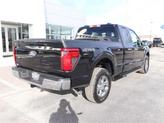 Thumbnail of 2025 Agate Black Metallic Ford F-150