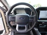 Thumbnail of 2025 Marsh Gray Ford F-150