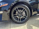Thumbnail of 2023 Shadow Black Ford Mustang