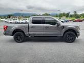 Thumbnail of 2023 Carbonized Gray Metallic Ford F-150