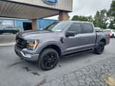 Thumbnail of 2023 Carbonized Gray Metallic Ford F-150