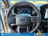 Thumbnail of 2025 Silver Metallic Ford F-150
