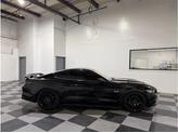 Thumbnail of 2016 No Color Ford Mustang