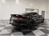 Thumbnail of 2016 No Color Ford Mustang