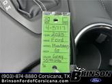 Thumbnail of 2025 Gray Ford Mustang