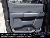 Thumbnail of 2025 Agate Black Metallic Ford F-150