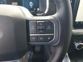 Thumbnail of 2025 Carbonized Gray Metallic Ford F-150