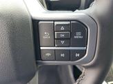Thumbnail of 2025 Carbonized Gray Metallic Ford F-250