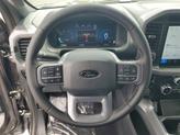 Thumbnail of 2025 Carbonized Gray Metallic Ford F-150