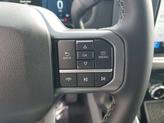 Thumbnail of 2025 Agate Black Metallic Ford F-150