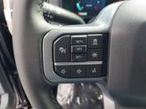 Thumbnail of 2025 Agate Black Metallic Ford F-150