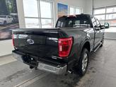 Thumbnail of 2021 Agate Black Metallic Ford F-150