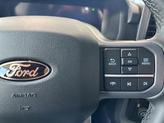Thumbnail of 2025 Agate Black Metallic Ford F-150