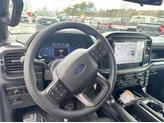 Thumbnail of 2025 CARBONIZED GRAY METALLIC Ford F-150
