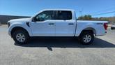 Thumbnail of 2023 OXFORD WHITE Ford F-150