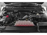 Thumbnail of 2020 MAGNETIC Ford F-150