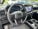 Thumbnail of 2025 RAPID RED MET TINTED CC Ford F-150