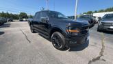 Thumbnail of 2025 AGATE BLACK METALLIC Ford F-150