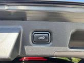 Thumbnail of 2020 Rainforest Hyundai SANTA FE