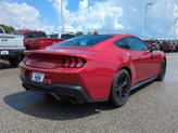 Thumbnail of 2024 Rapid Red Metallic Tinted Clearcoat Ford Mustang