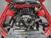 Thumbnail of 2006 Torch Red Clearcoat Ford Mustang