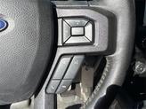 Thumbnail of 2019 AGATE BLACK Ford F-150