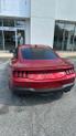 Thumbnail of 2024 Rapid Red Metallic Tinted Clearcoat Ford Mustang