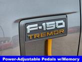 Thumbnail of 2025 Carbonized Gray Metallic Ford F-150