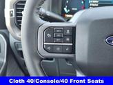 Thumbnail of 2025 Iconic Silver Metallic Ford F-150