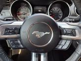 Thumbnail of 2021 Shadow Black Ford Mustang