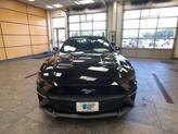 Thumbnail of 2019 Shadow Black Ford Mustang
