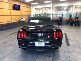 Thumbnail of 2019 Shadow Black Ford Mustang
