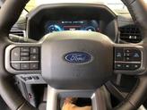 Thumbnail of 2025 Carbonized Gray Metallic Ford F-150 Lightning
