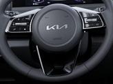 Thumbnail of 2025 Gravity Gray Kia Seltos