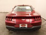 Thumbnail of 2025 Molten Ford Mustang