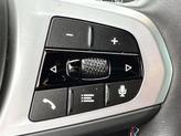 Thumbnail of 2024 Mineral BMW X3