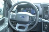 Thumbnail of 2025 Star White Ford F-150