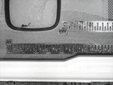 Thumbnail of 2025 Oxford White Ford F-150