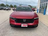 Thumbnail of 2025 Radiant Red Metallic Honda Accord Hybrid