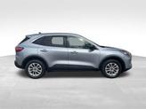 Thumbnail of 2022 Ice Blue Ford Escape