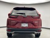 Thumbnail of 2022 Radiant Red Honda CR-V