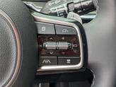 Thumbnail of 2025 EVERLASTING SIL Kia Sorento
