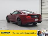 Thumbnail of 2019 Red Ford Mustang