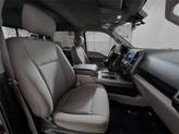 Thumbnail of 2019 Stone Gray Ford F-150