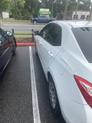 Thumbnail of 2019 Super White Toyota Corolla
